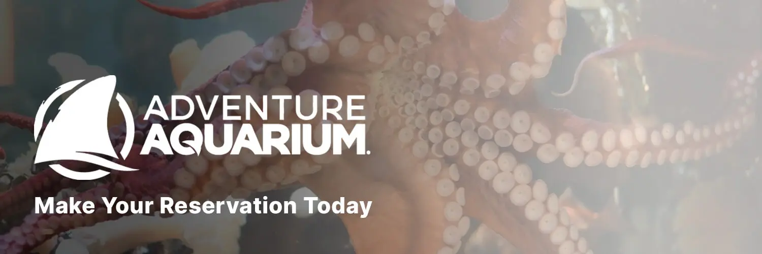 Adventure Aquarium